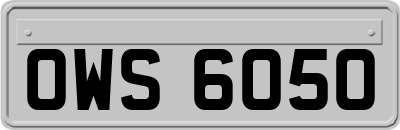 OWS6050