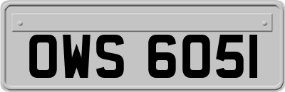 OWS6051