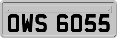 OWS6055