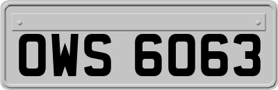 OWS6063