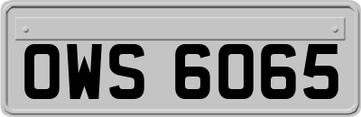 OWS6065