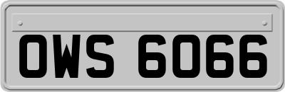 OWS6066