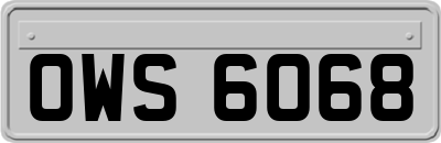 OWS6068