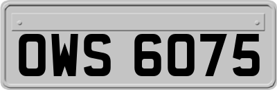 OWS6075