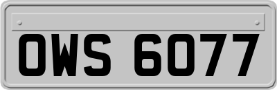 OWS6077