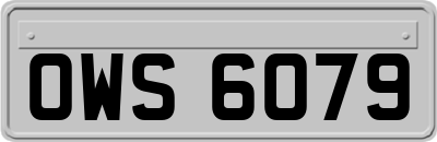 OWS6079