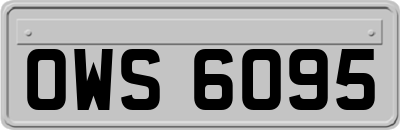 OWS6095