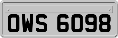 OWS6098