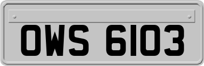 OWS6103