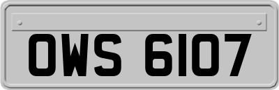 OWS6107