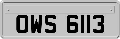 OWS6113