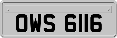 OWS6116