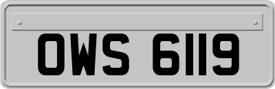 OWS6119