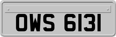 OWS6131