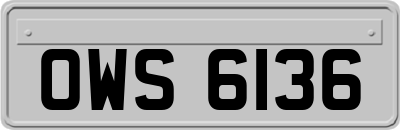 OWS6136