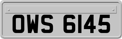 OWS6145