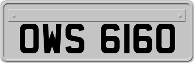 OWS6160