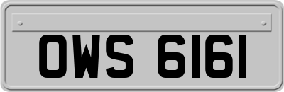 OWS6161