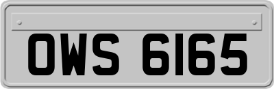 OWS6165