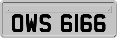 OWS6166