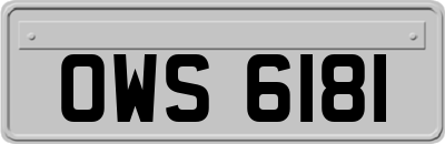 OWS6181