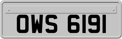 OWS6191
