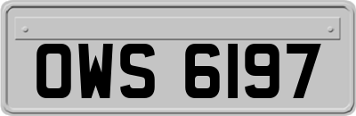 OWS6197