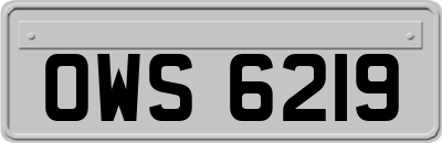 OWS6219