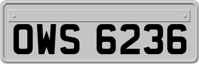 OWS6236