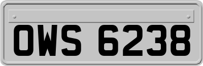 OWS6238