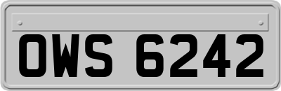 OWS6242