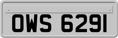 OWS6291