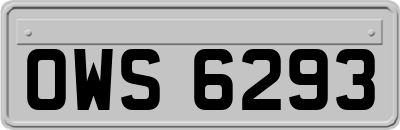 OWS6293