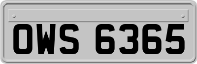 OWS6365
