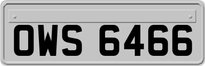 OWS6466