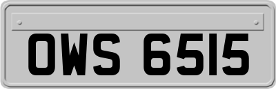 OWS6515