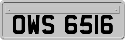 OWS6516