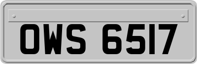 OWS6517