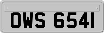 OWS6541
