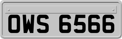 OWS6566