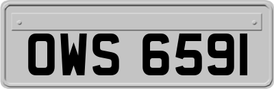 OWS6591