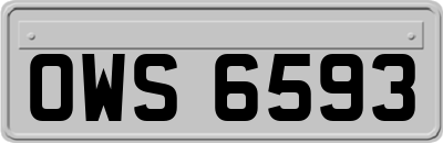 OWS6593