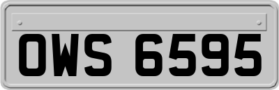 OWS6595
