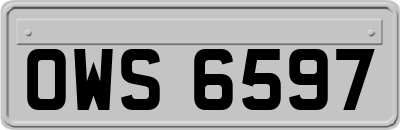 OWS6597