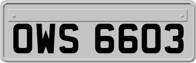 OWS6603