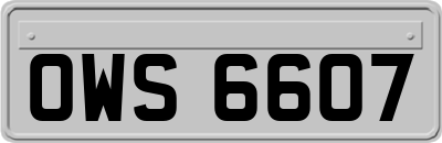 OWS6607
