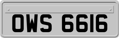 OWS6616