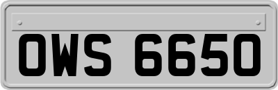 OWS6650