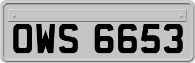 OWS6653