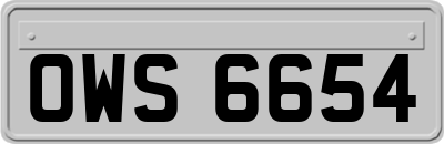 OWS6654